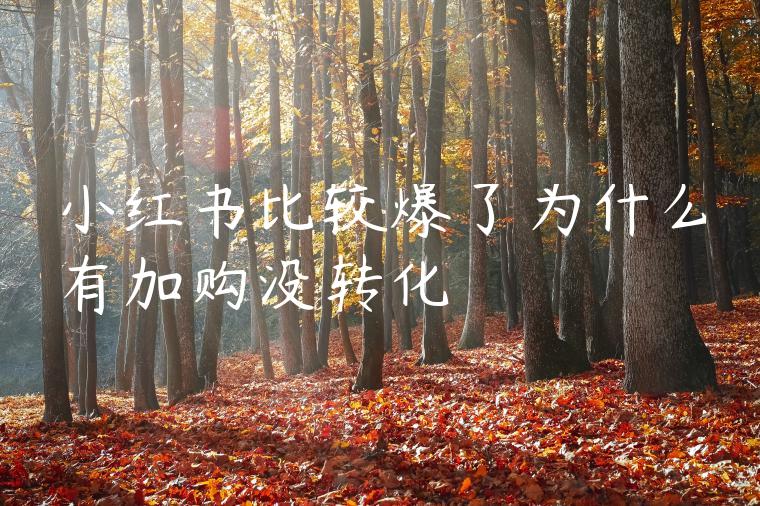 小红书比较爆了为什么有加购没转化 小红书比较爆了为什么有加购没转化