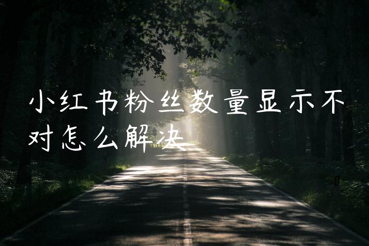 小红书粉丝数量显示不对怎么解决