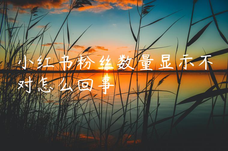 小红书粉丝数量显示不对怎么回事 小红书粉丝数量显示不对怎么回事