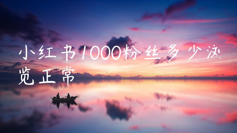 小红书1000粉丝多少浏览正常