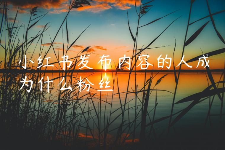 小红书发布内容的人成为什么粉丝