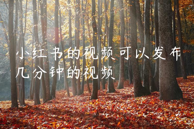 小红书的视频可以发布几分钟的视频 小红书的视频可以发布几分钟的视频