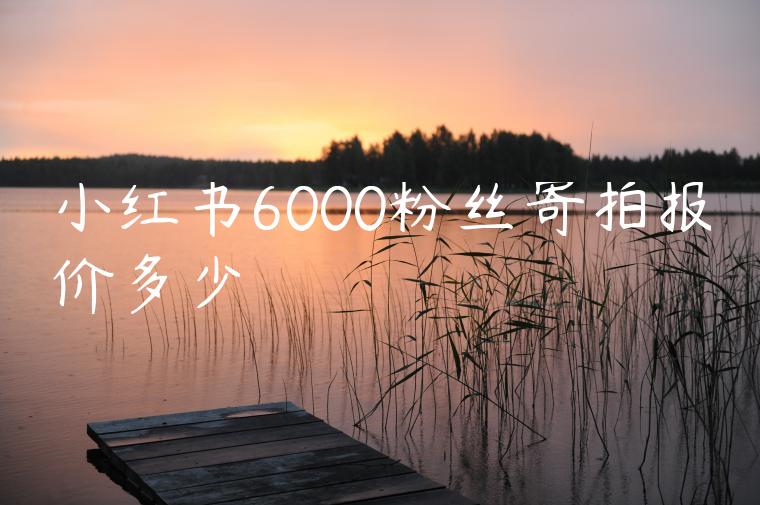 小红书6000粉丝寄拍报价多少