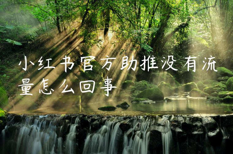 小红书官方助推没有流量怎么回事 小红书官方助推没有流量怎么回事