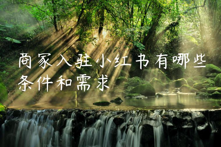 商家入驻小红书有哪些条件和需求