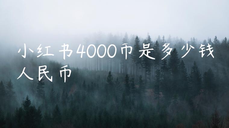 小红书4000币是多少钱人民币