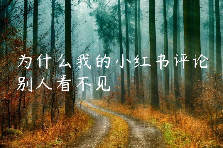 为什么我的小红书评论别人看不见 为什么我的小红书评论别人看不见