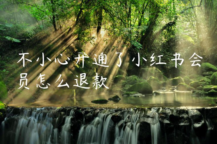 不小心开通了小红书会员怎么退款