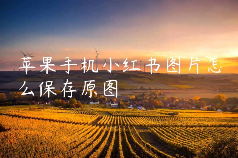 苹果手机小红书图片怎么保存原图