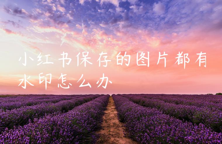 小红书保存的图片都有水印怎么办 小红书保存的图片都有水印怎么办