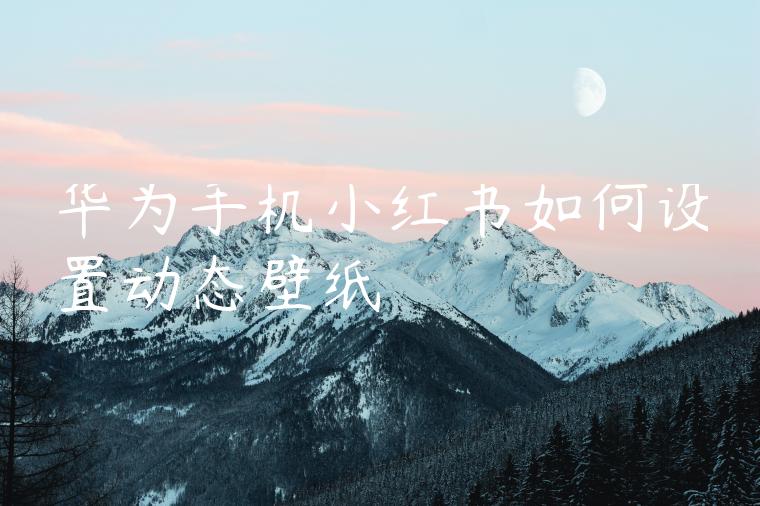 华为手机小红书如何设置动态壁纸 华为手机小红书如何设置动态壁纸