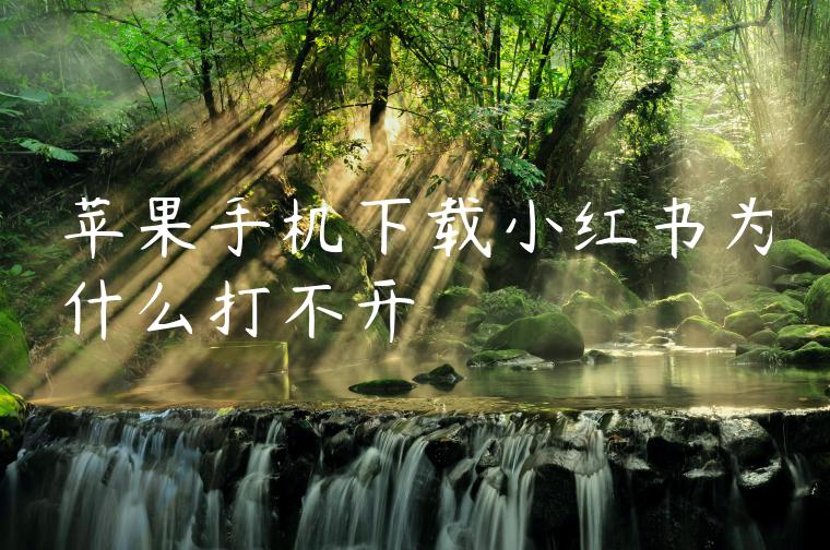 苹果手机下载小红书为什么打不开 苹果手机下载小红书为什么打不开