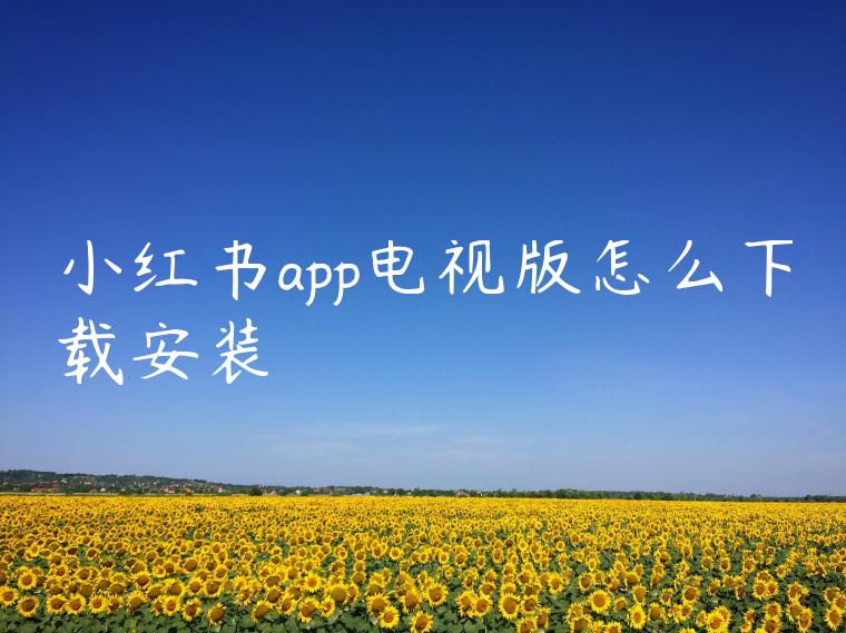 小红书app电视版怎么下载安装