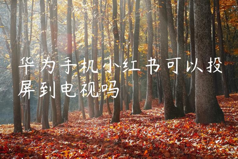 华为手机小红书可以投屏到电视吗