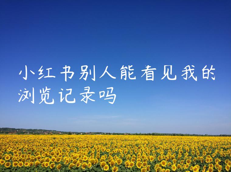 小红书别人能看见我的浏览记录吗
