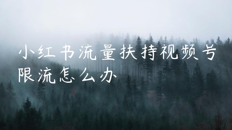 小红书流量扶持视频号限流怎么办