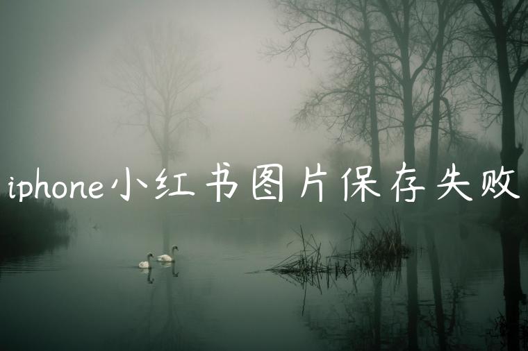 iphone小红书图片保存失败 iphone小红书图片保存失败