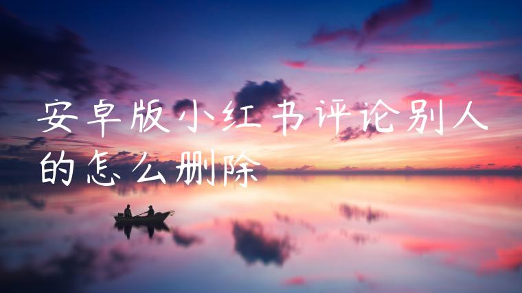 安卓版小红书评论别人的怎么删除 安卓版小红书评论别人的怎么删除