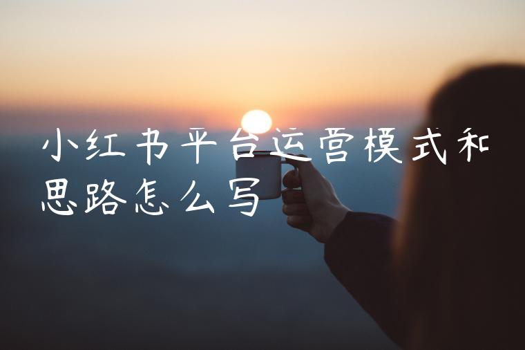 小红书平台运营模式和思路怎么写