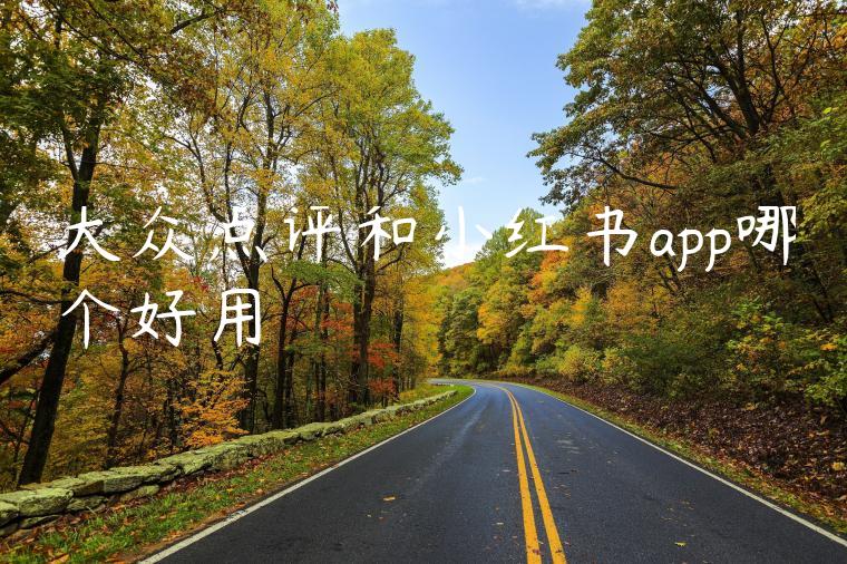 大众点评和小红书app哪个好用