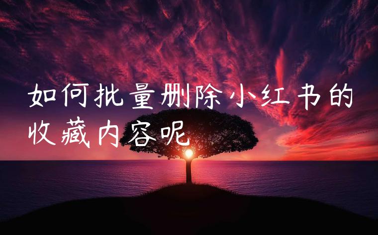 如何批量删除小红书的收藏内容呢