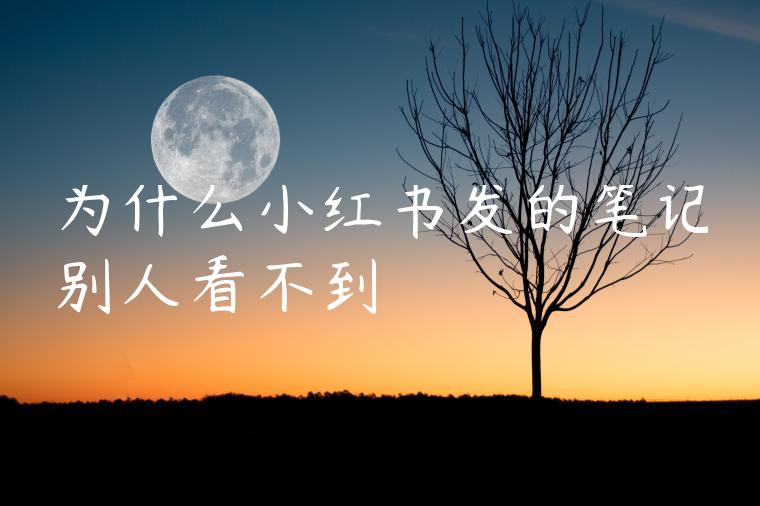 为什么小红书发的笔记别人看不到 为什么小红书发的笔记别人看不到