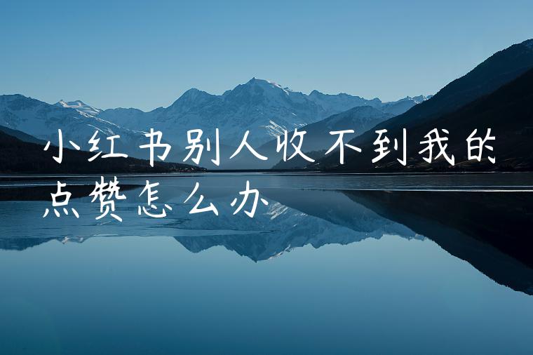 小红书别人收不到我的点赞怎么办 小红书别人收不到我的点赞怎么办