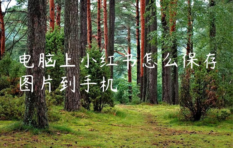 电脑上小红书怎么保存图片到手机