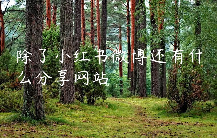 除了小红书微博还有什么分享网站