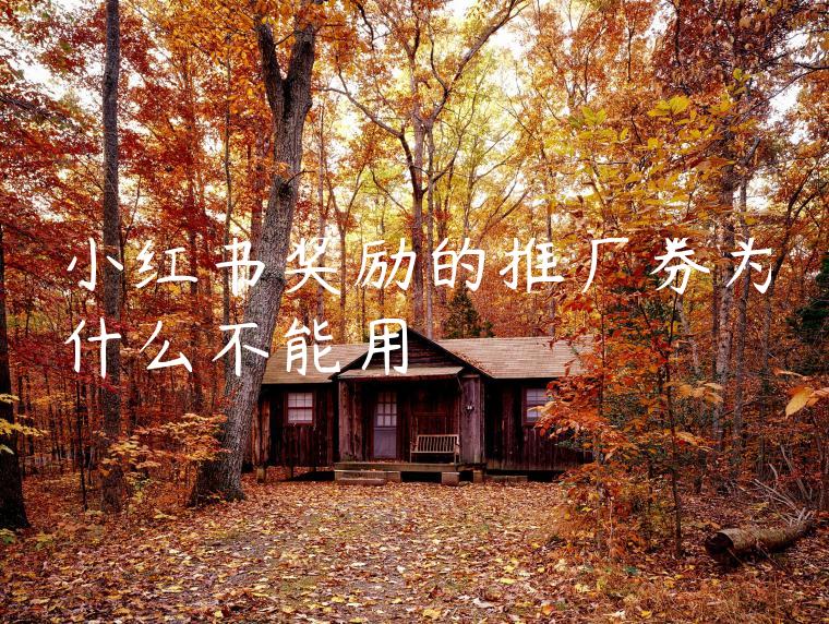小红书奖励的推广券为什么不能用