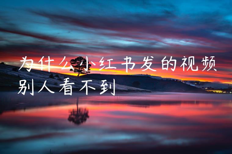 为什么小红书发的视频别人看不到 为什么小红书发的视频别人看不到