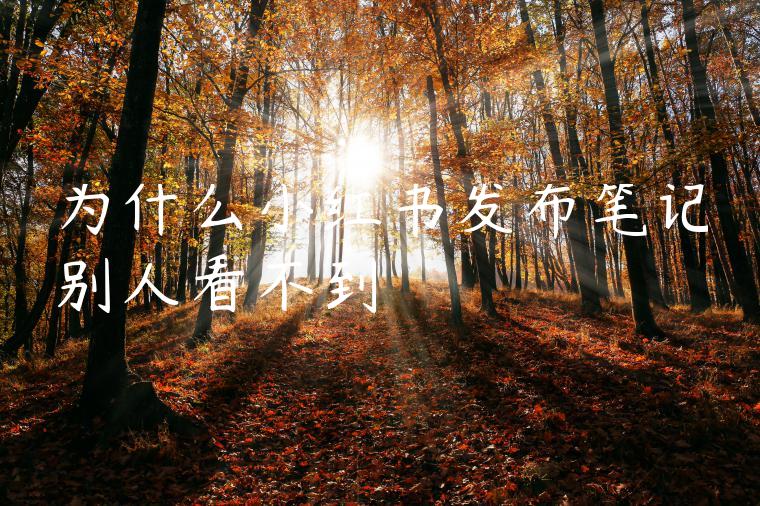 为什么小红书发布笔记别人看不到