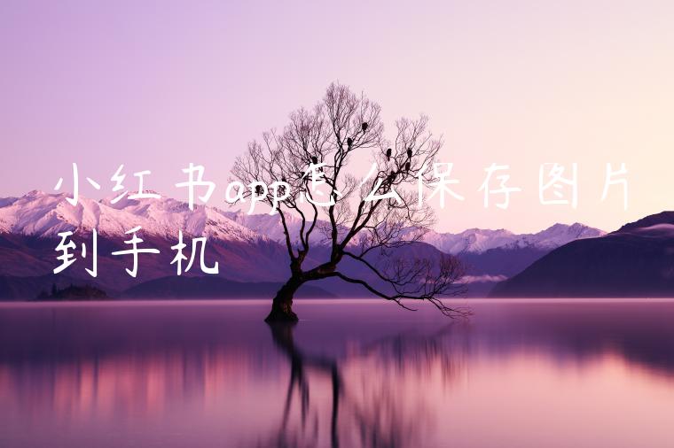 小红书app怎么保存图片到手机