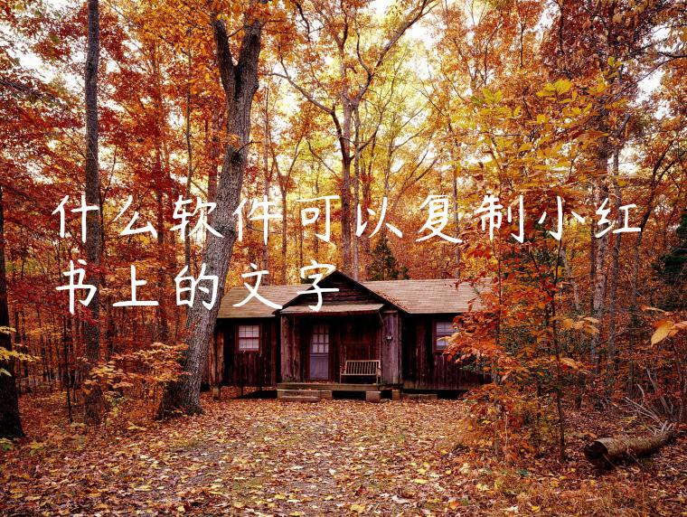 什么软件可以复制小红书上的文字