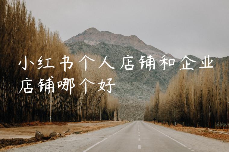小红书个人店铺和企业店铺哪个好 小红书个人店铺和企业店铺哪个好