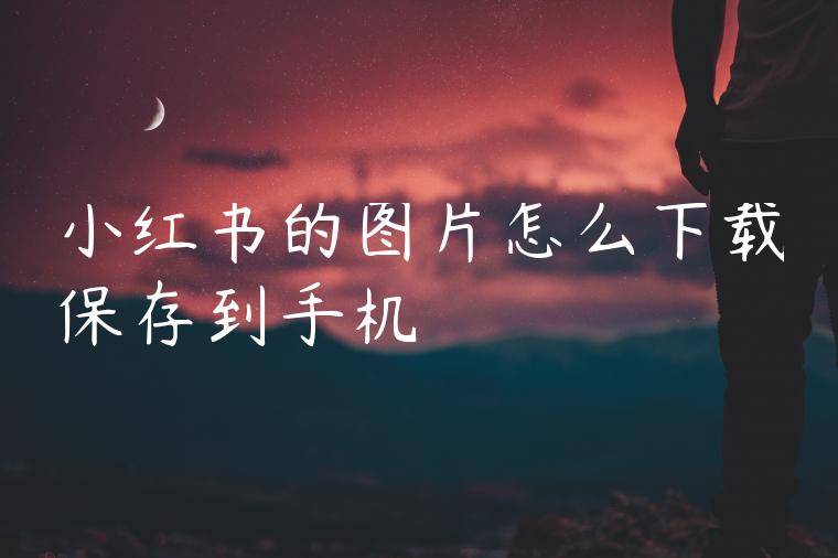 小红书的图片怎么下载保存到手机