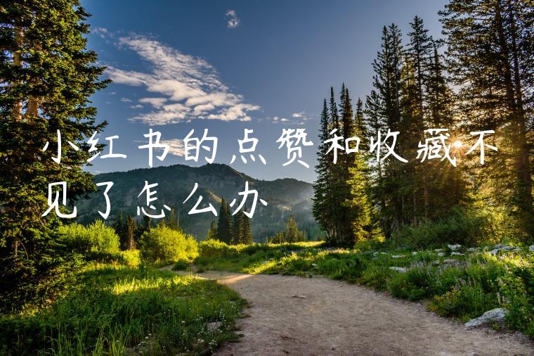 小红书的点赞和收藏不见了怎么办 小红书的点赞和收藏不见了怎么办