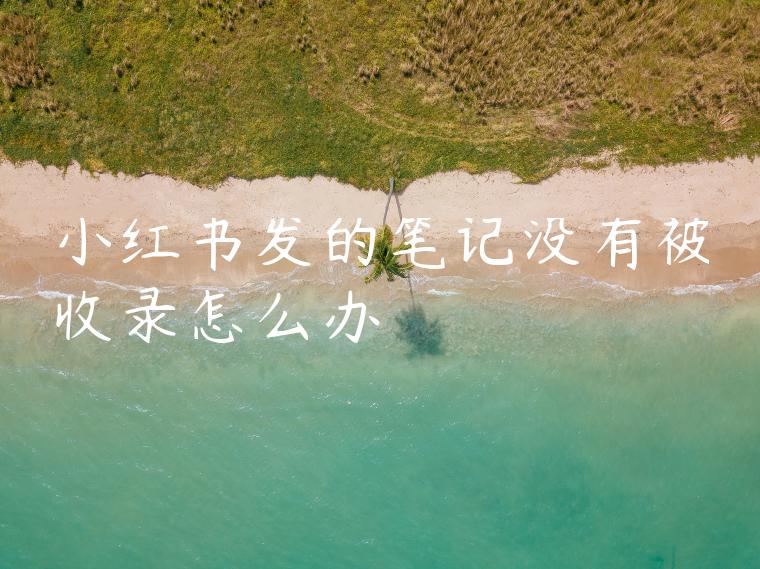 小红书发的笔记没有被收录怎么办 小红书发的笔记没有被收录怎么办