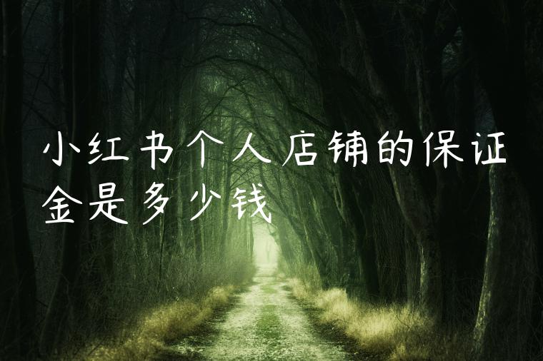 小红书个人店铺的保证金是多少钱