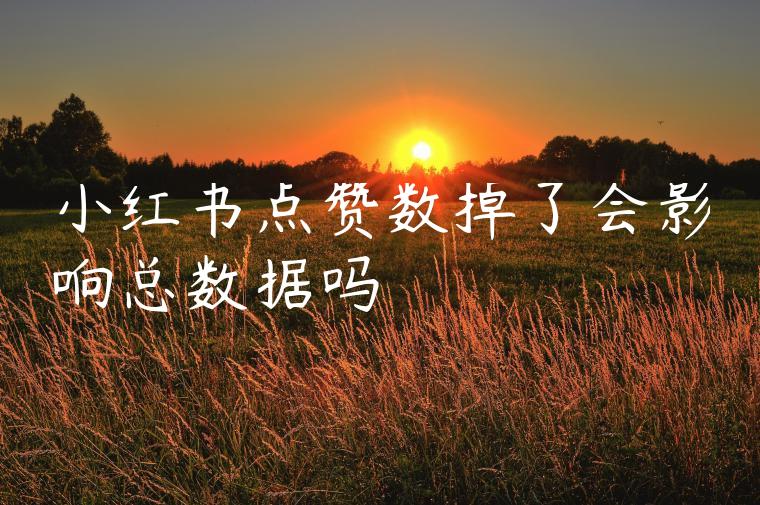 小红书点赞数掉了会影响总数据吗