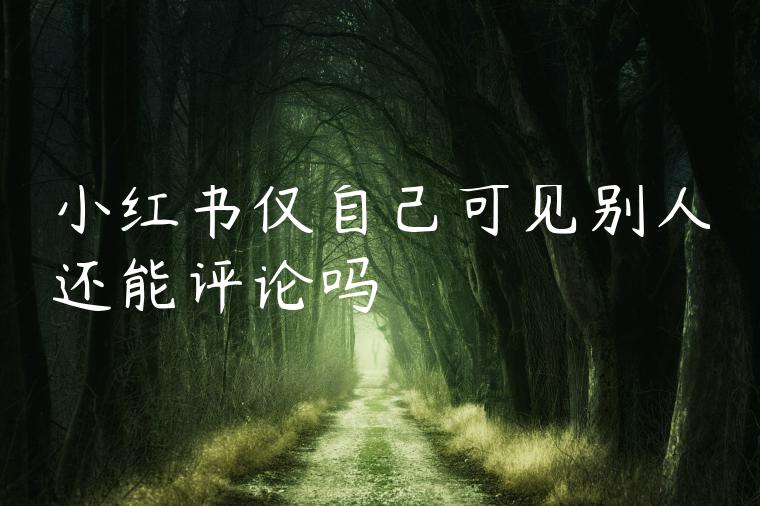 小红书仅自己可见别人还能评论吗 小红书仅自己可见别人还能评论吗