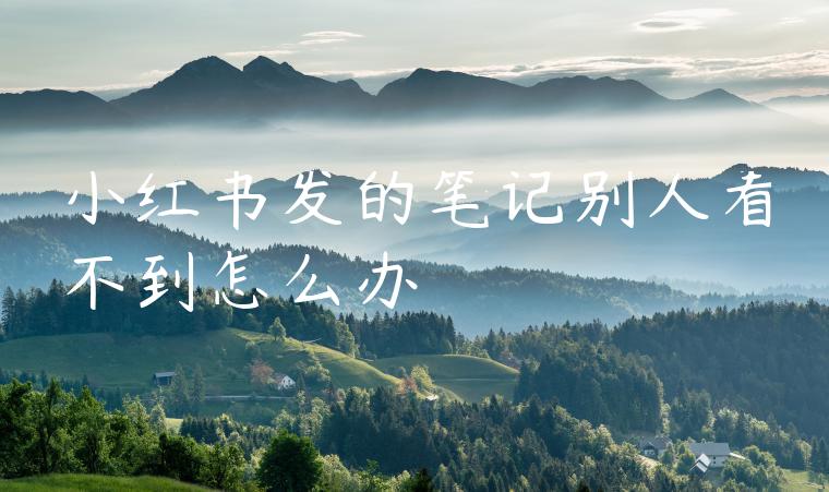 小红书发的笔记别人看不到怎么办 小红书发的笔记别人看不到怎么办