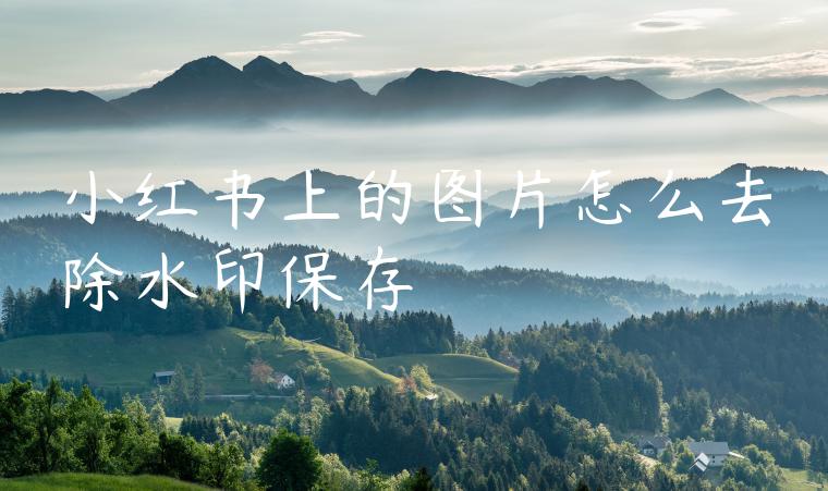 小红书上的图片怎么去除水印保存