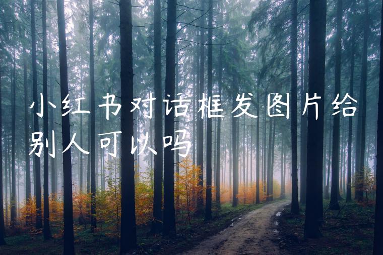 小红书对话框发图片给别人可以吗 小红书对话框发图片给别人可以吗