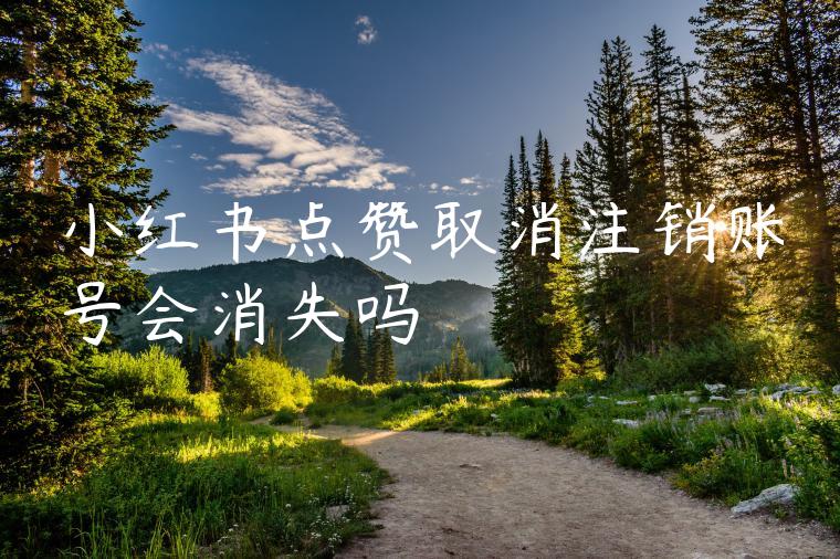 小红书点赞取消注销账号会消失吗