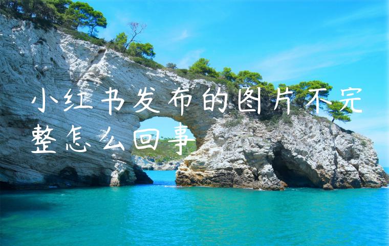 小红书发布的图片不完整怎么回事 小红书发布的图片不完整怎么回事