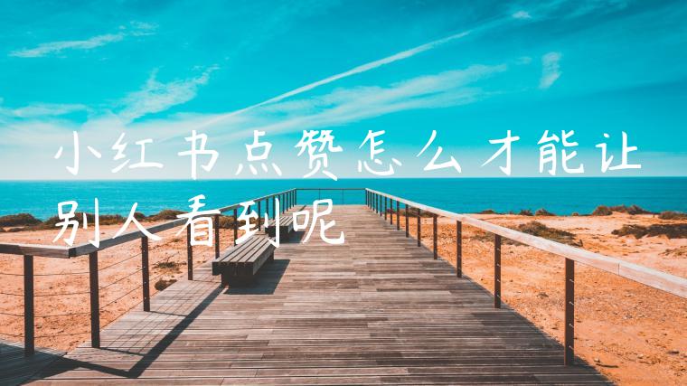 小红书点赞怎么才能让别人看到呢