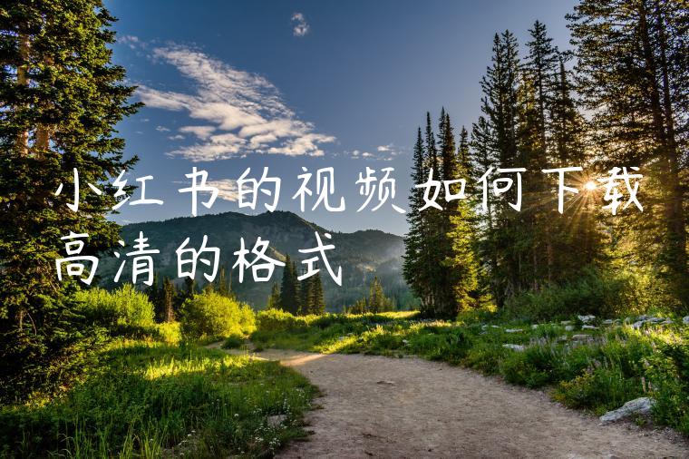 小红书的视频如何下载高清的格式 小红书的视频如何下载高清的格式