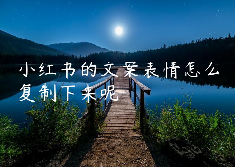 小红书的文案表情怎么复制下来呢 小红书的文案表情怎么复制下来呢