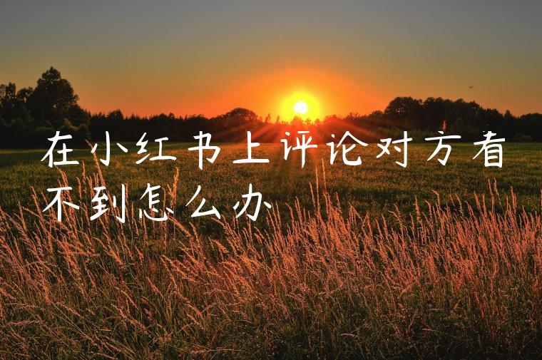 在小红书上评论对方看不到怎么办 在小红书上评论对方看不到怎么办